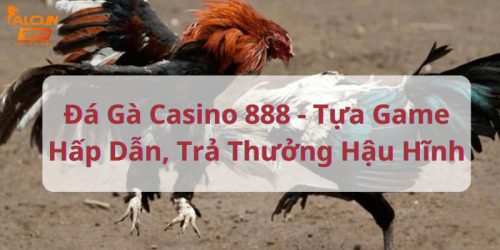 Đá Gà Casino 888 - Tựa Game Hấp Dẫn, Trả Thưởng Hậu Hĩnh